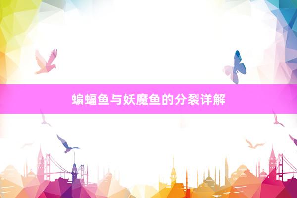 蝙蝠鱼与妖魔鱼的分裂详解